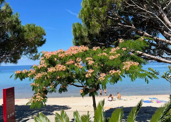 Kastel 4* Повляна